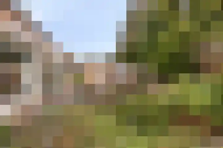 Ereprijsstraat 48 Uden thumbnail 44