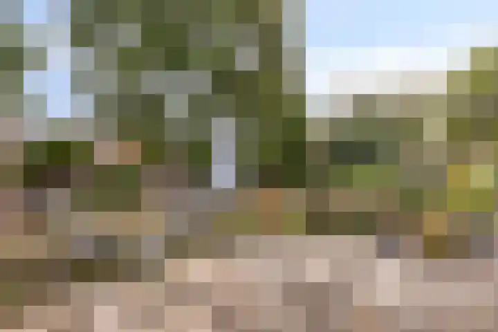 Ereprijsstraat 48 Uden thumbnail 45