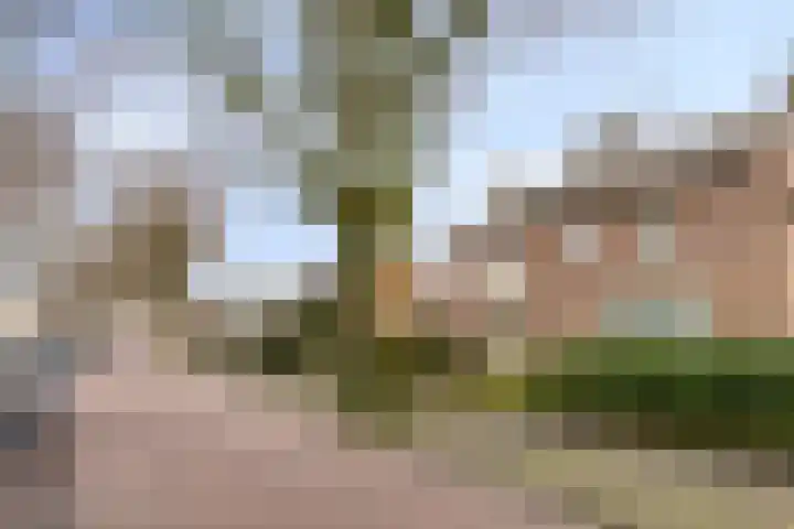 Ereprijsstraat 48 Uden thumbnail 47