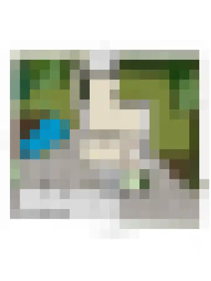Ereprijsstraat 48 Uden thumbnail 50