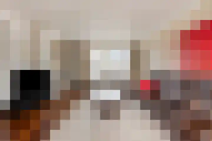 Ereprijsstraat 48 Uden thumbnail 8