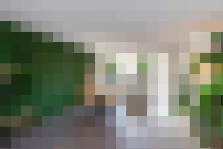 Ereprijsstraat 6 Bleskensgraaf ca thumbnail 11