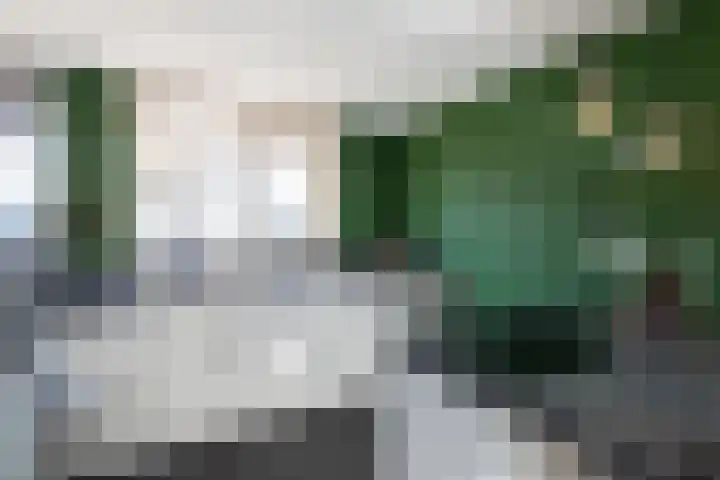 Ereprijsstraat 6 Bleskensgraaf ca thumbnail 13