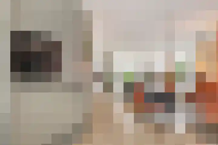 Ereprijsstraat 6 Vught thumbnail 13