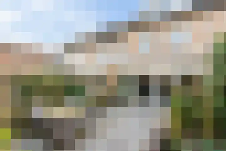 Ereprijsstraat 6 Vught thumbnail 18