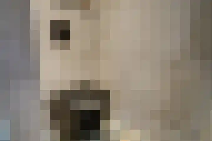 Ereprijsstraat 6 Vught foto 2