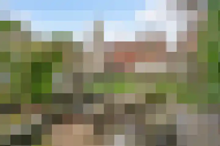 Ereprijsstraat 6 Vught thumbnail 23