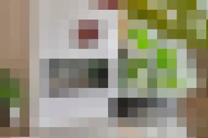 Ereprijsstraat 6 Vught thumbnail 5