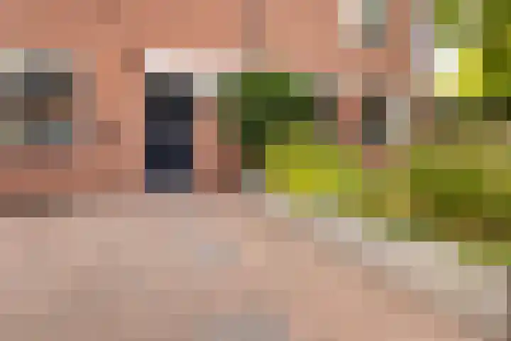 Ereprijsweide 9 Woerden foto 2