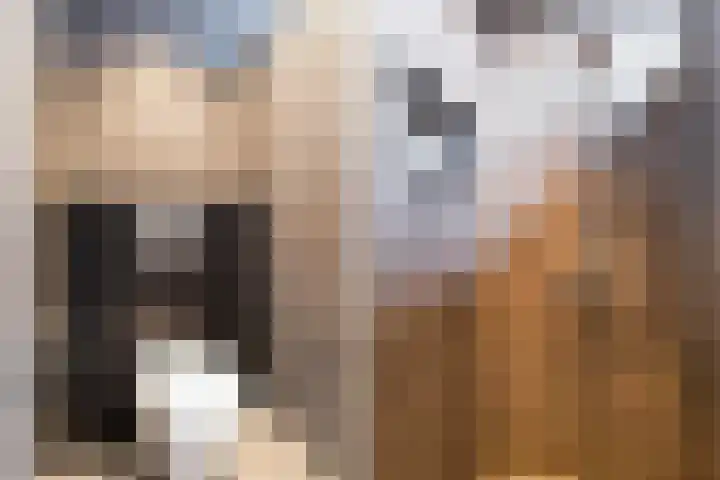 Ereprijsweide 9 Woerden thumbnail 22