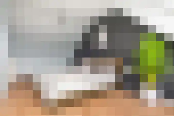 Ereprijsweide 9 Woerden thumbnail 28