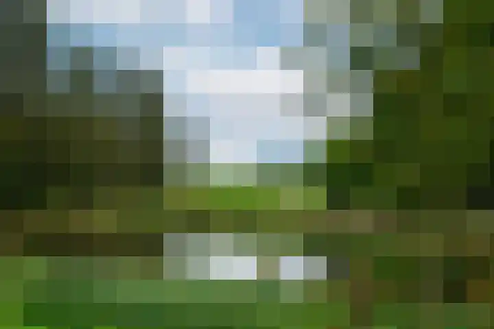 Ereprijsweide 9 Woerden thumbnail 37