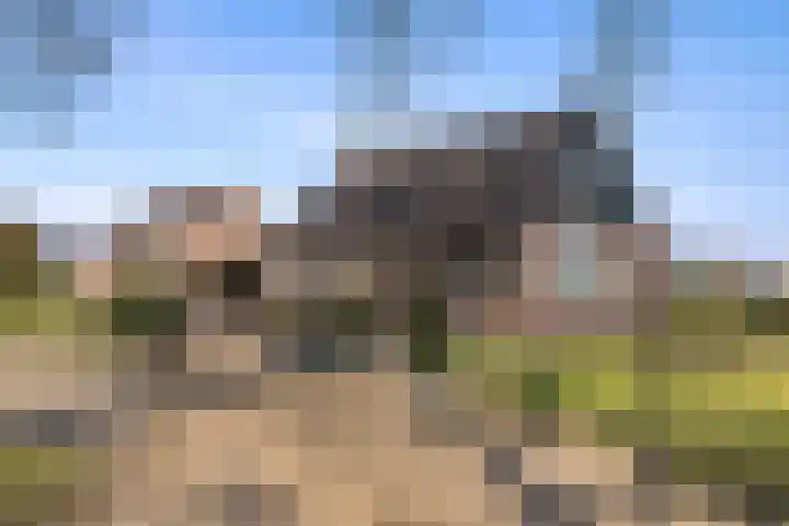Erfscheidenweg 32 in Nieuw-Amsterdam