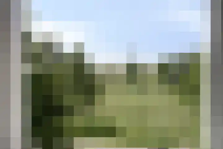 Erfwal 4 D Zwolle thumbnail 10
