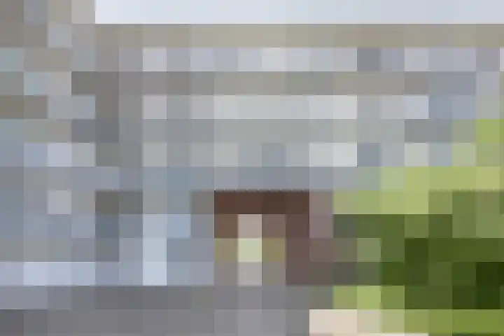 Erfwal 4 D Zwolle thumbnail 19