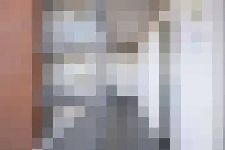 Erfwal 4 D Zwolle thumbnail 5