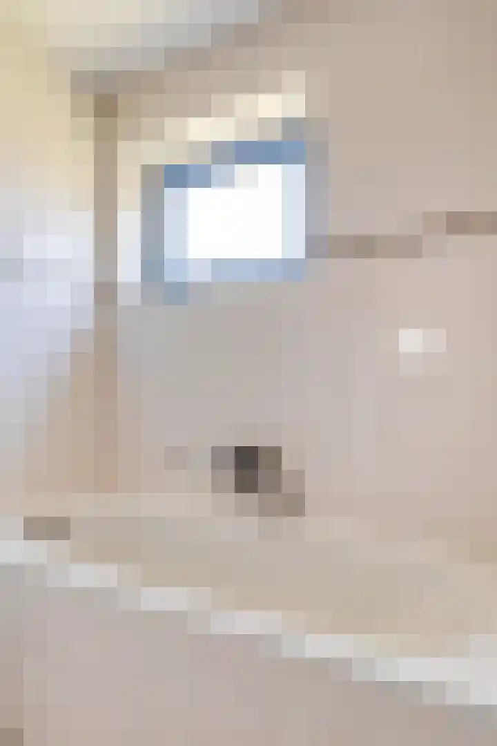 Eric de Noormanhof 4 Almere thumbnail 21