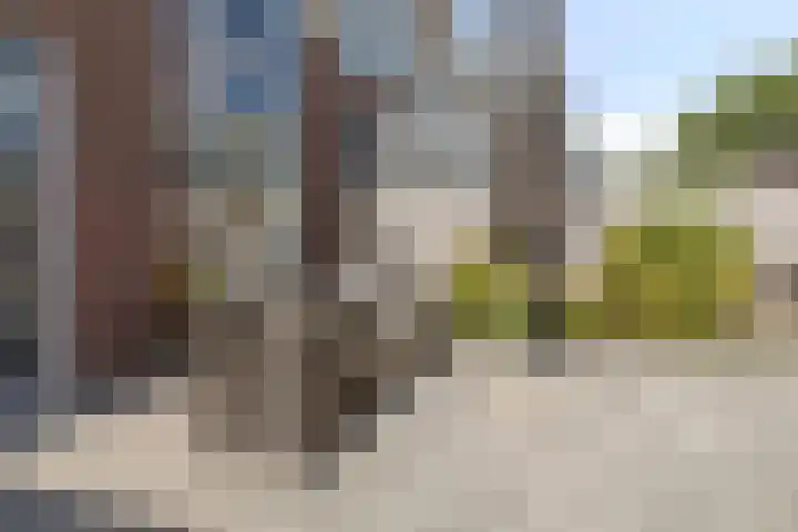 Eric de Noormanhof 4 Almere thumbnail 35