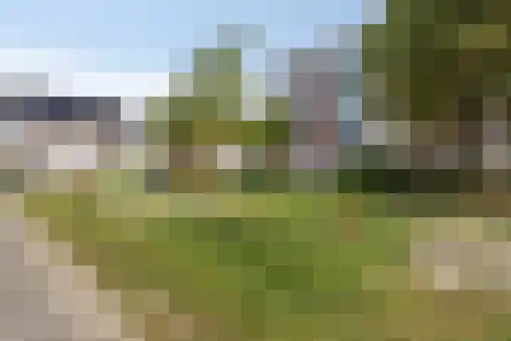 Eric de Noormanhof 4 Almere thumbnail 38