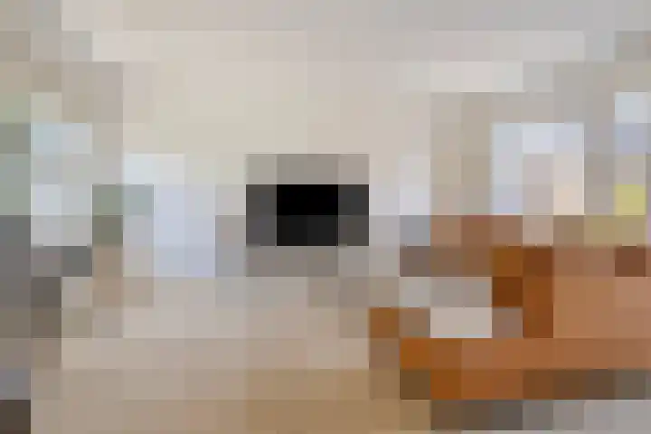 Eric de Noormanhof 4 Almere thumbnail 5