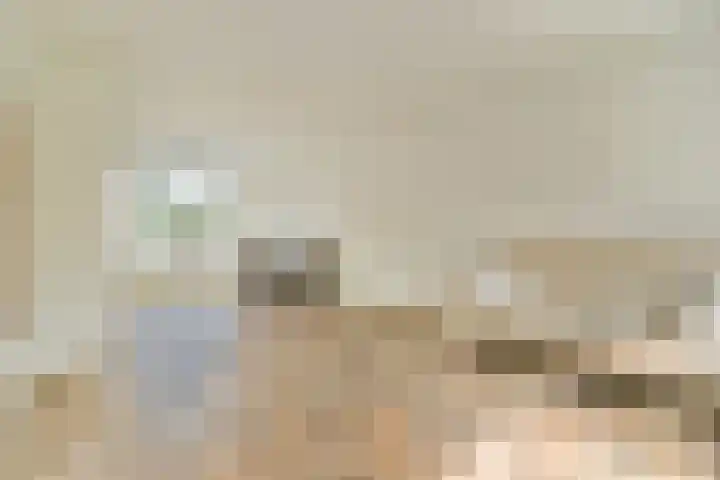 Ericalaan 10 Gouda thumbnail 10