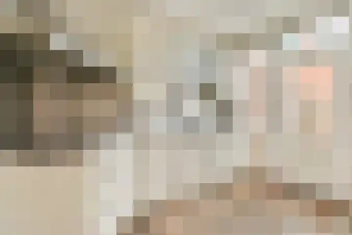Ericalaan 10 Gouda thumbnail 11