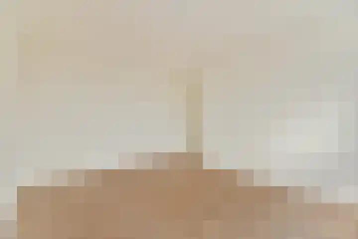 Ericalaan 10 Gouda thumbnail 16