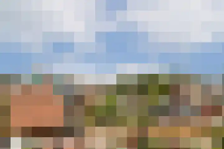 Ericalaan 10 Gouda thumbnail 29