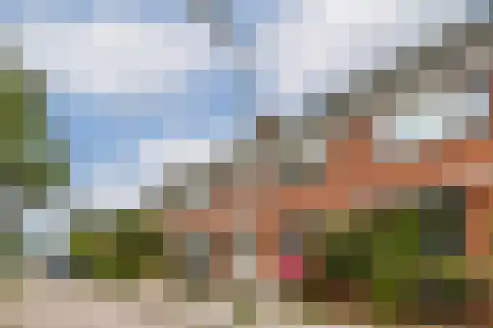 Ericalaan 10 Gouda thumbnail 6