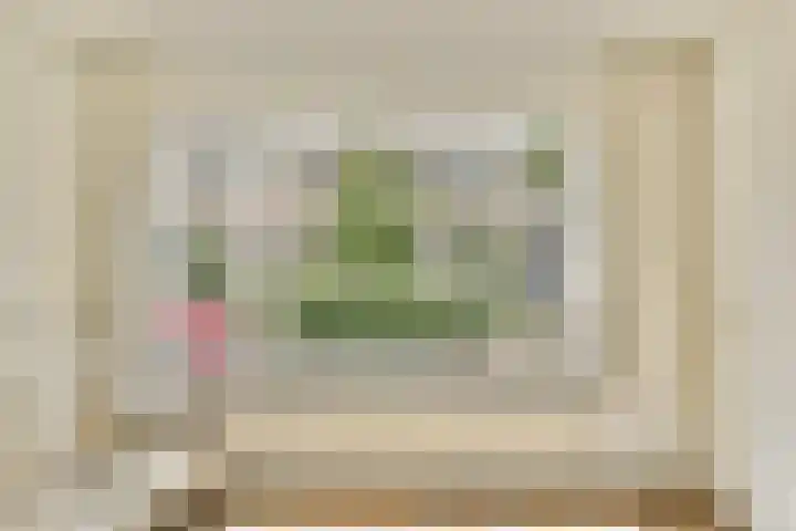 Ericalaan 10 Gouda thumbnail 8