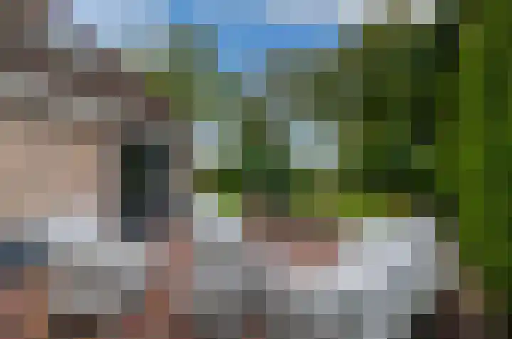 Ericalaan 46 Beilen thumbnail 31