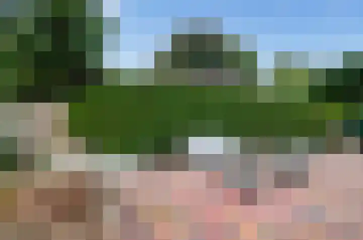 Ericalaan 46 Beilen thumbnail 32