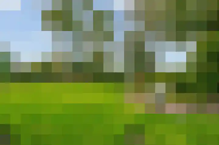 Ericalaan 46 Beilen thumbnail 33