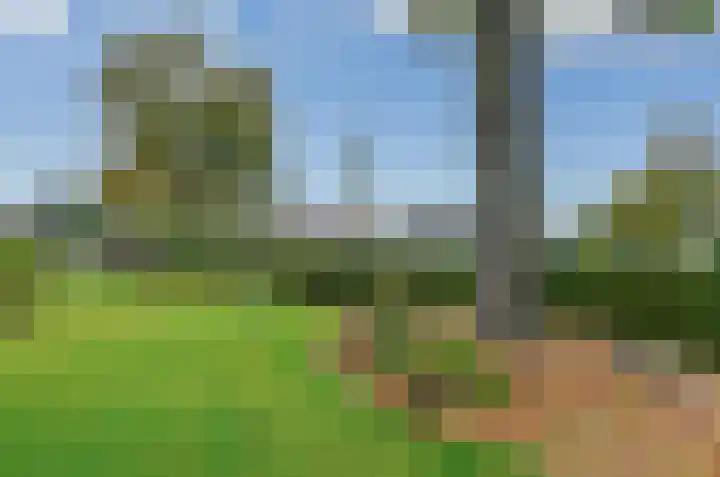 Ericalaan 46 Beilen thumbnail 36