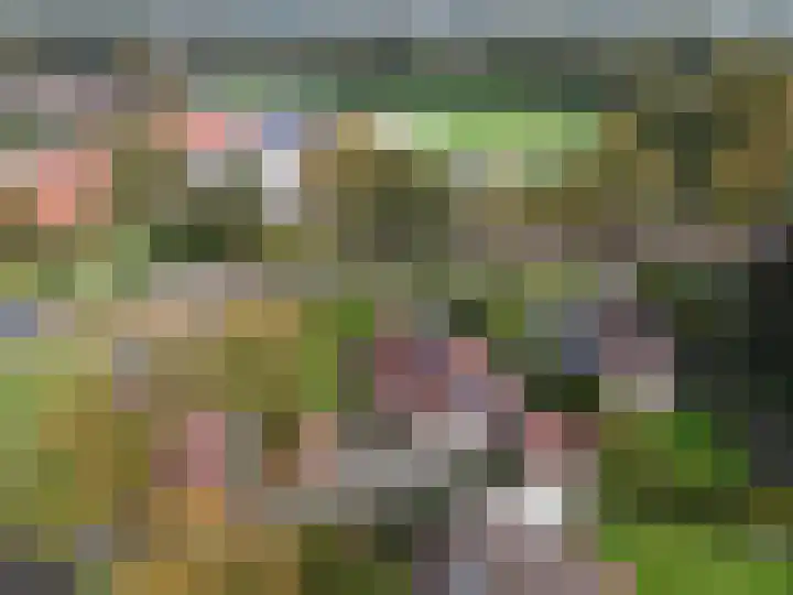 Ericalaan 46 Beilen thumbnail 43
