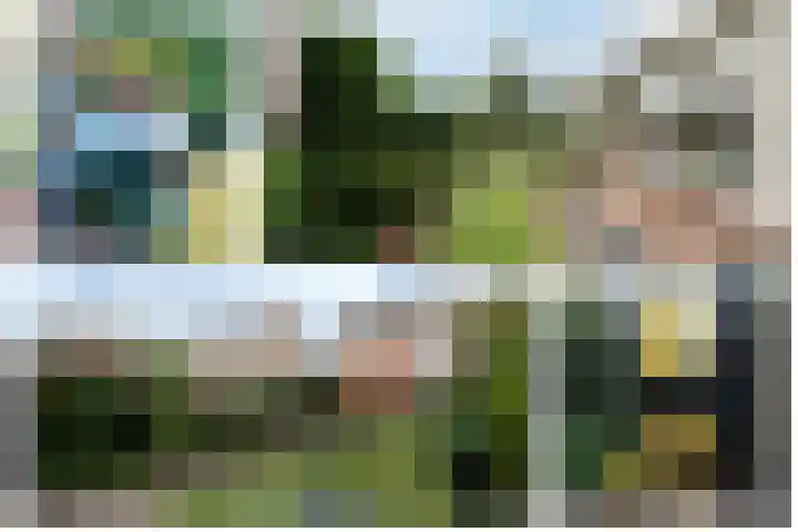 Ericalaan 88 Hoeven thumbnail 17