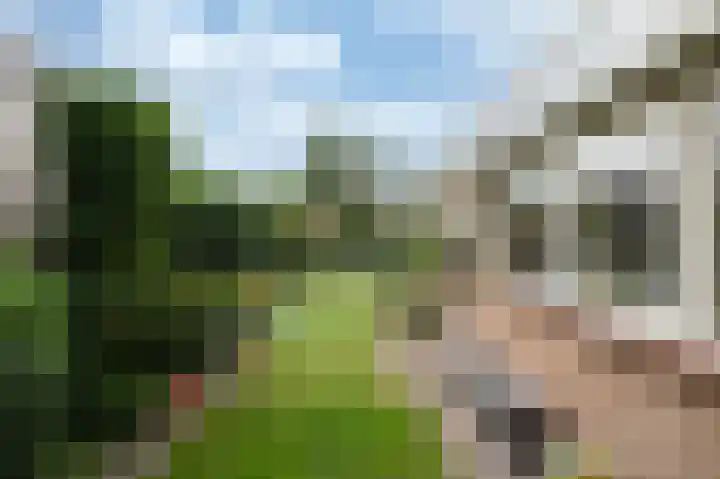Ericalaan 88 Hoeven thumbnail 18