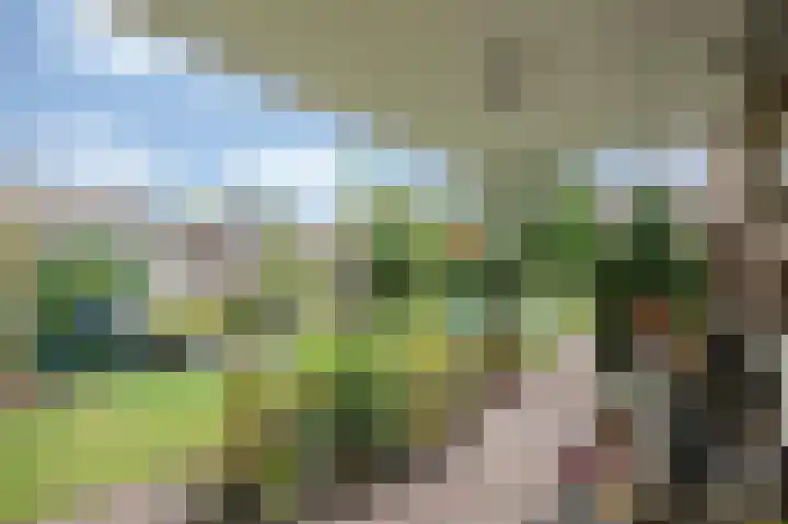 Ericalaan 88 Hoeven thumbnail 20