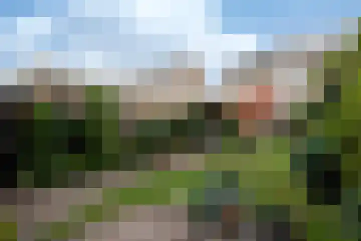 Ericalaan 88 Hoeven thumbnail 22