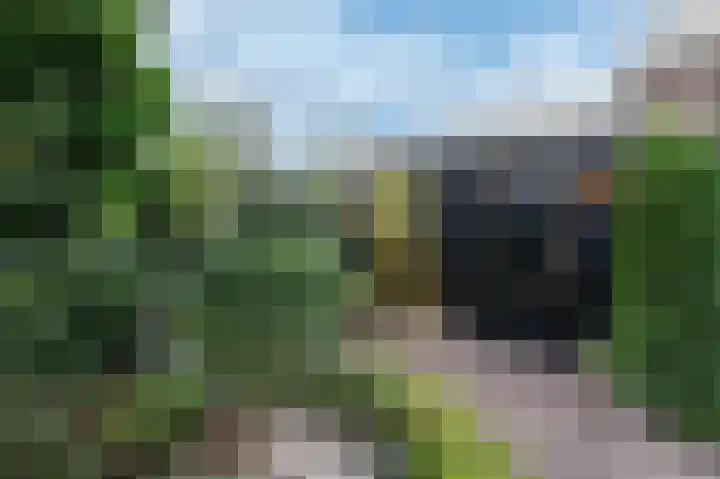 Ericalaan 88 Hoeven thumbnail 23