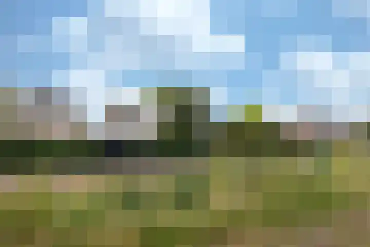 Ericalaan 88 Hoeven thumbnail 25