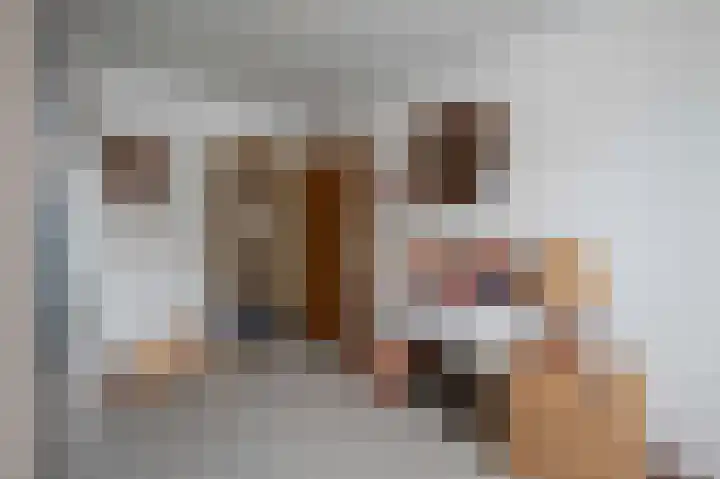 Ericalaan 88 Hoeven thumbnail 40