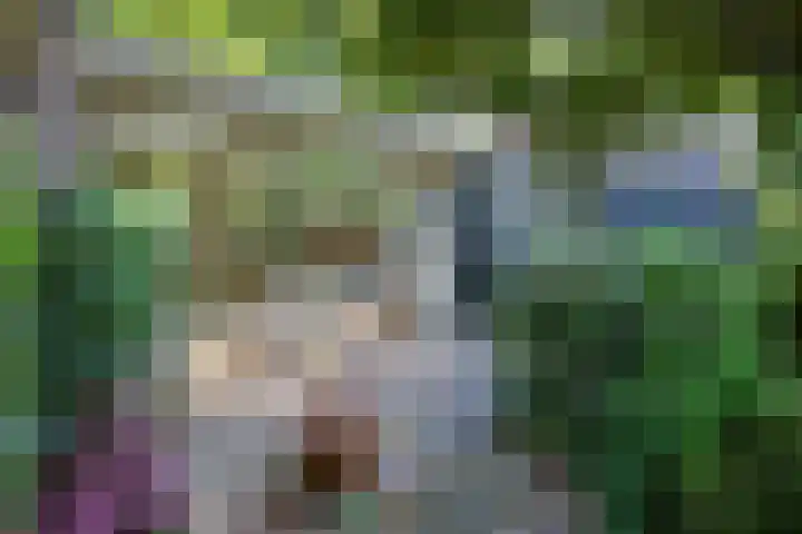 Ericapark 15 Bennekom thumbnail 4