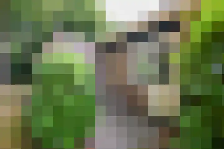 Ericapark 15 Bennekom thumbnail 5