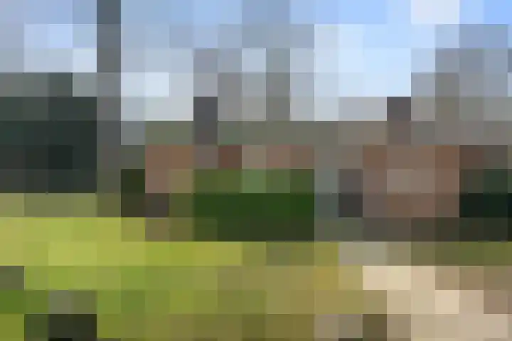 Ericapark 33 Bennekom