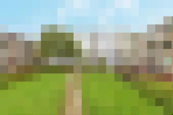 Ericapark 33 Bennekom thumbnail 12