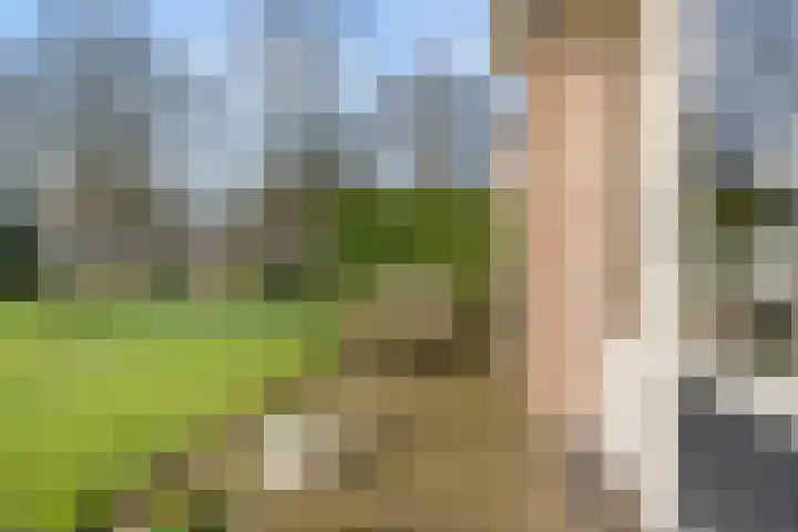 Ericapark 33 Bennekom thumbnail 17