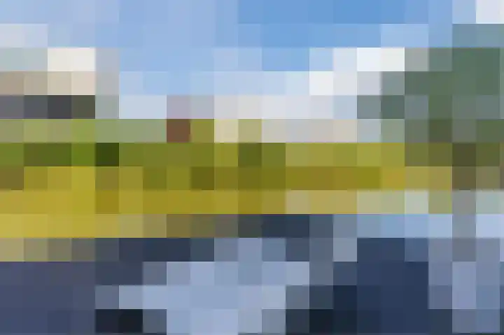 Ericapark 33 Bennekom thumbnail 33