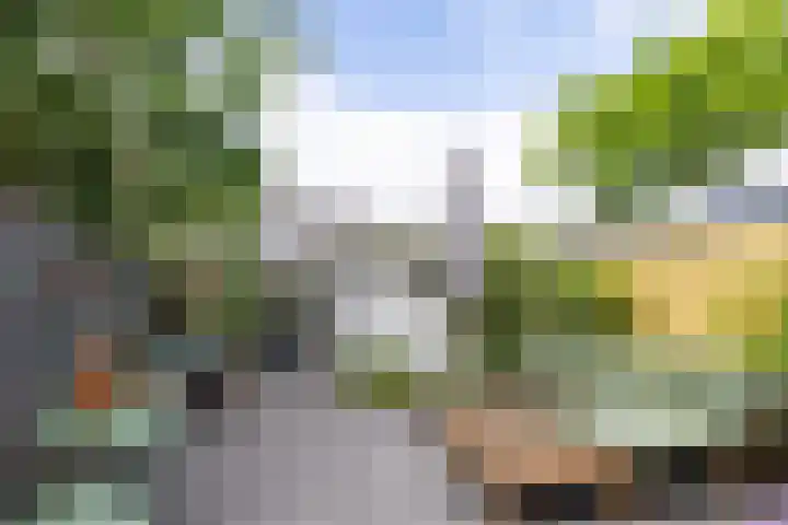 Ericapark 33 Bennekom thumbnail 36