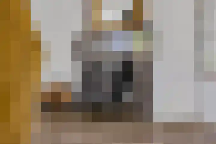 Ericapark 33 Bennekom thumbnail 41